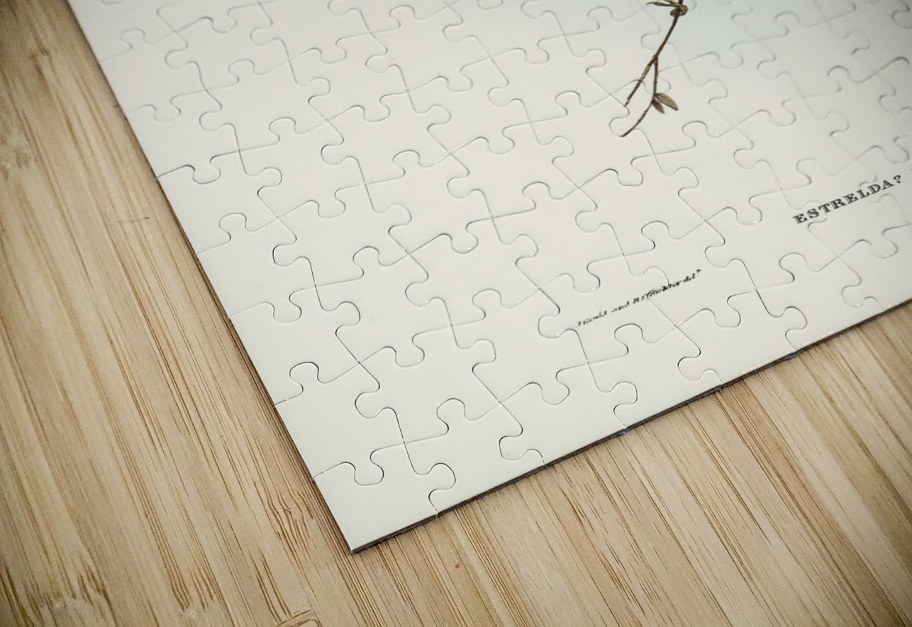 Crimson Finch Estrelda Phaeton illustrated by Elizabeth Gould 1804–1841 for John Gould’s 1804-1881 Birds of Australia  IStockHistory com Puzzle