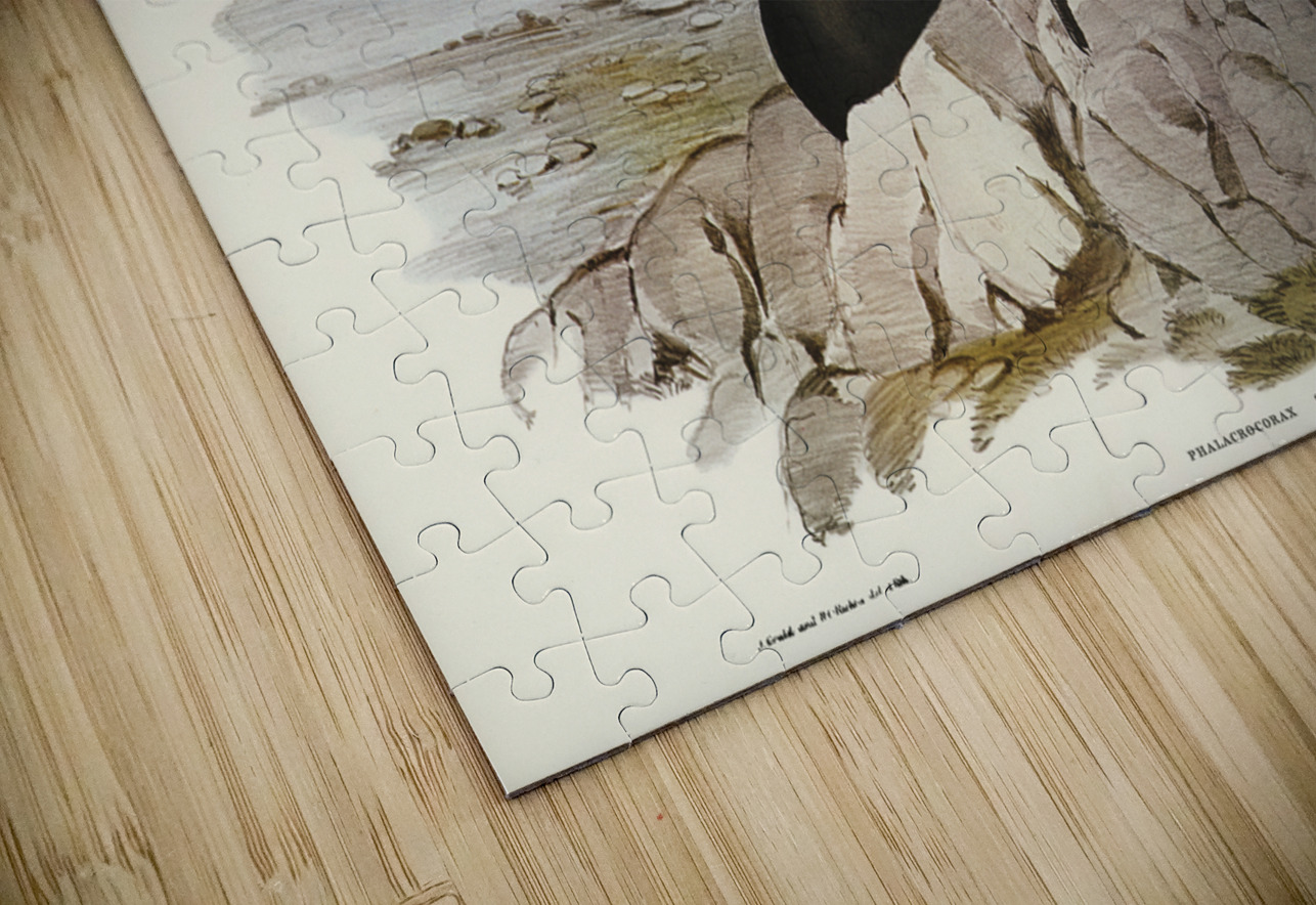 Groove-billed Cormorant Phalacrocorax sulcirostris illustrated by Elizabeth Gould 1804–1841 for John Gould’s 1804-1881 Birds of Australia  IStockHistory com Puzzle