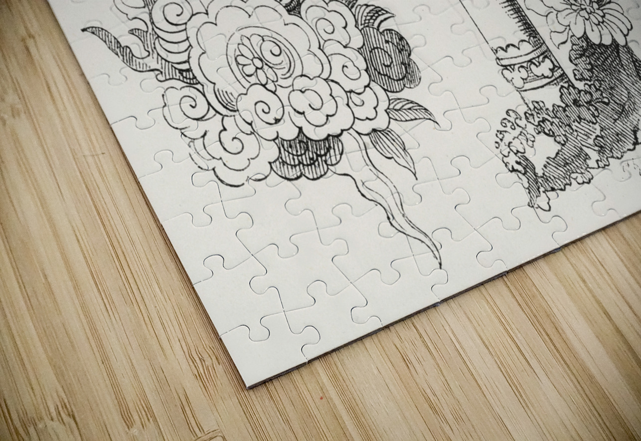 Chinese decorative elements. 1888 edition Lornement Polychrome by Albert Racine 1825–1893. IStockHistory com Puzzle