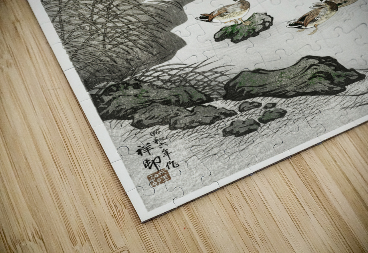 Ducks in the water 1931 by Ohara Koson 1877-1945. IStockHistory com Puzzle