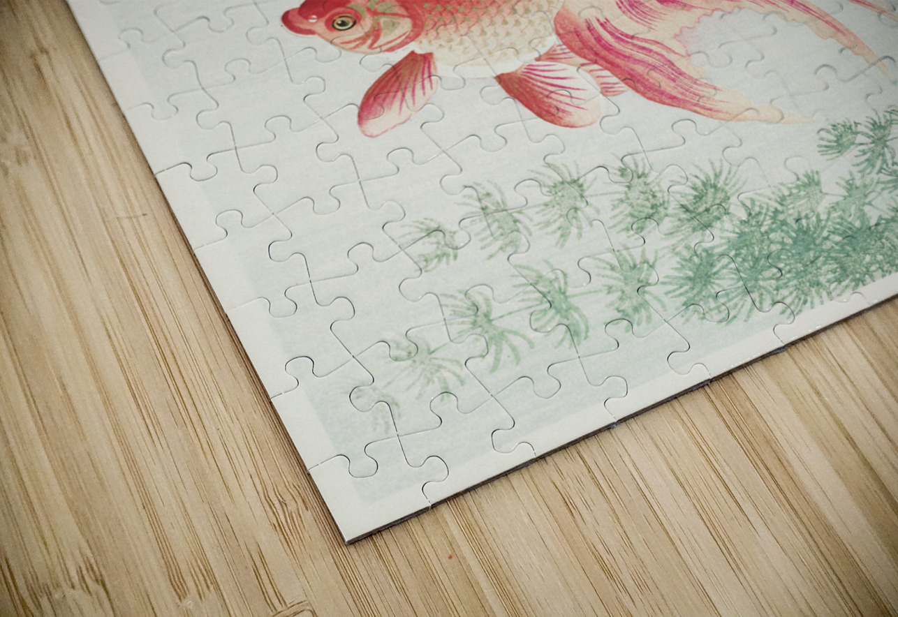 Two veil goldfish 1926 by Ohara Koson 1877-1945. IStockHistory com Puzzle