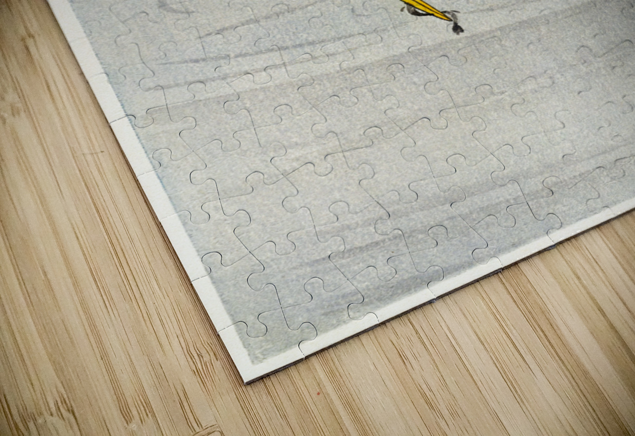 Praying mantis 1900 - 1936 by Ohara Koson 1877-1945. IStockHistory com Puzzle