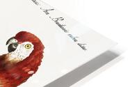 Pappagallo detto arara rossa del Brasile Macaw HD Metal print