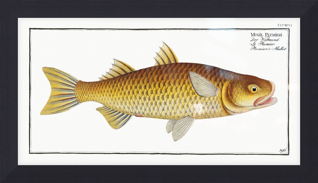 Impression de cadre personnalisé