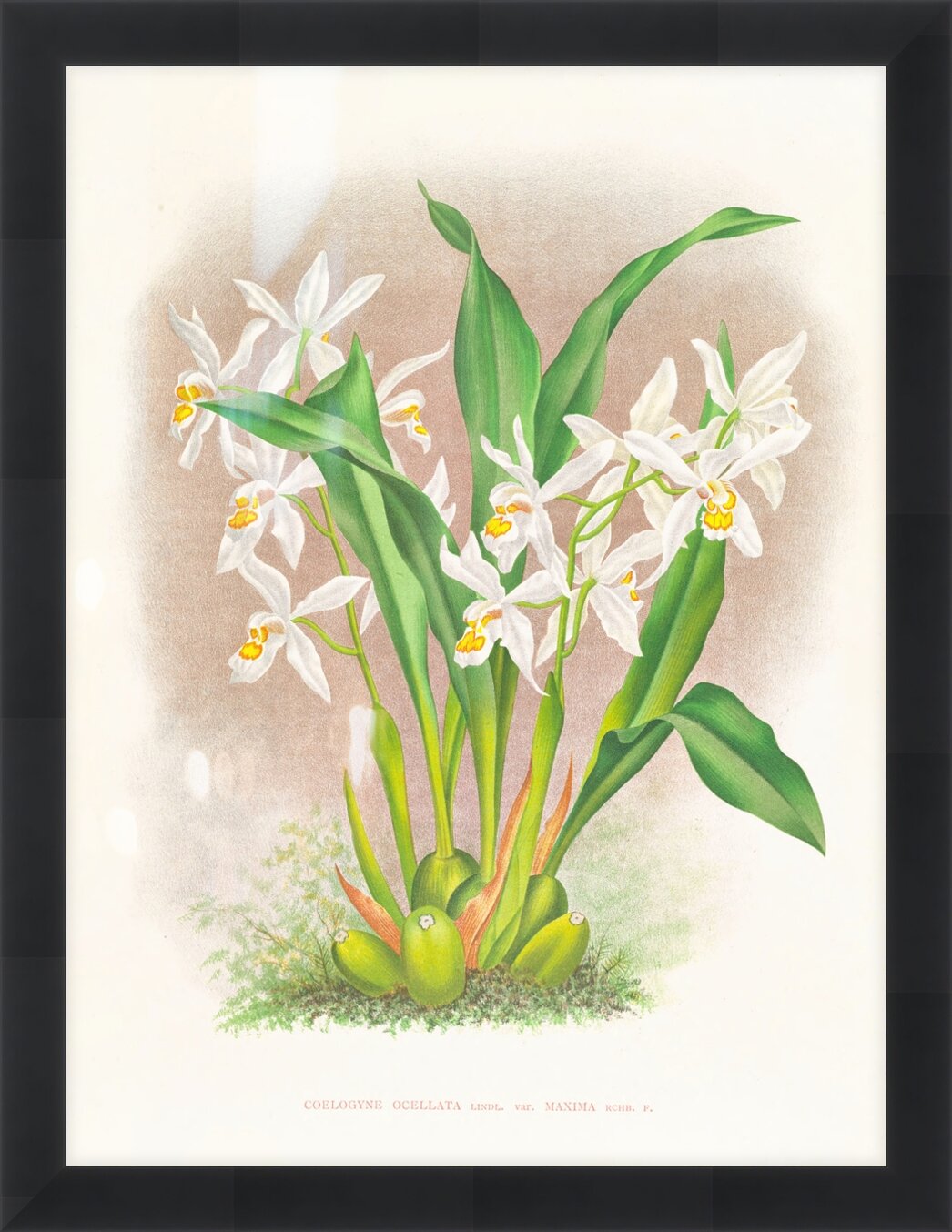 Impression de cadre personnalisé