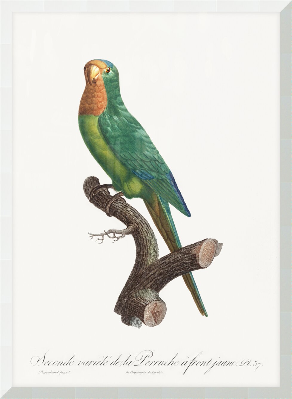 Impression de cadre personnalisé