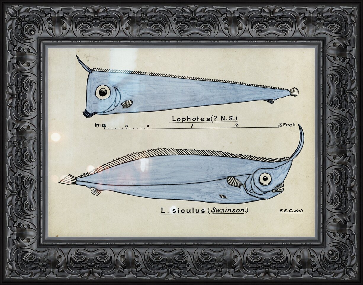 Impression de cadre personnalisé