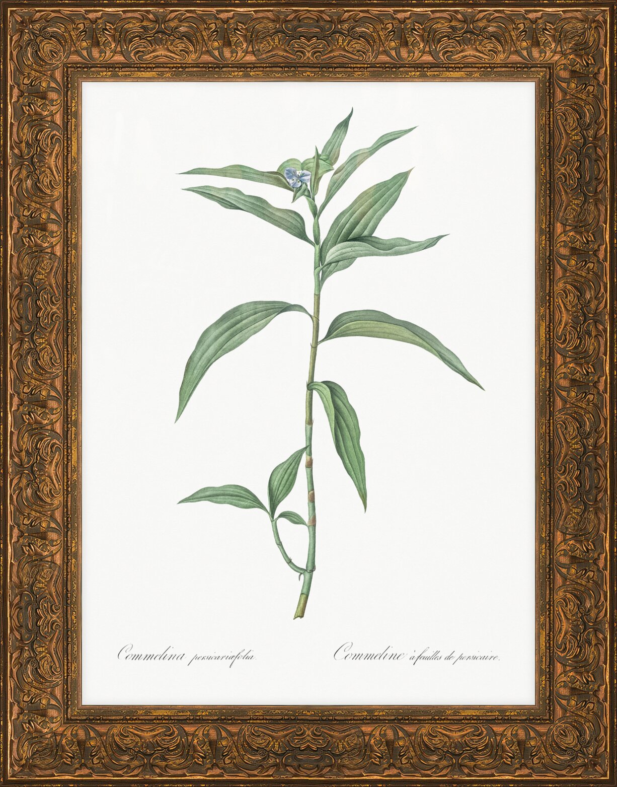 Impression de cadre personnalisé