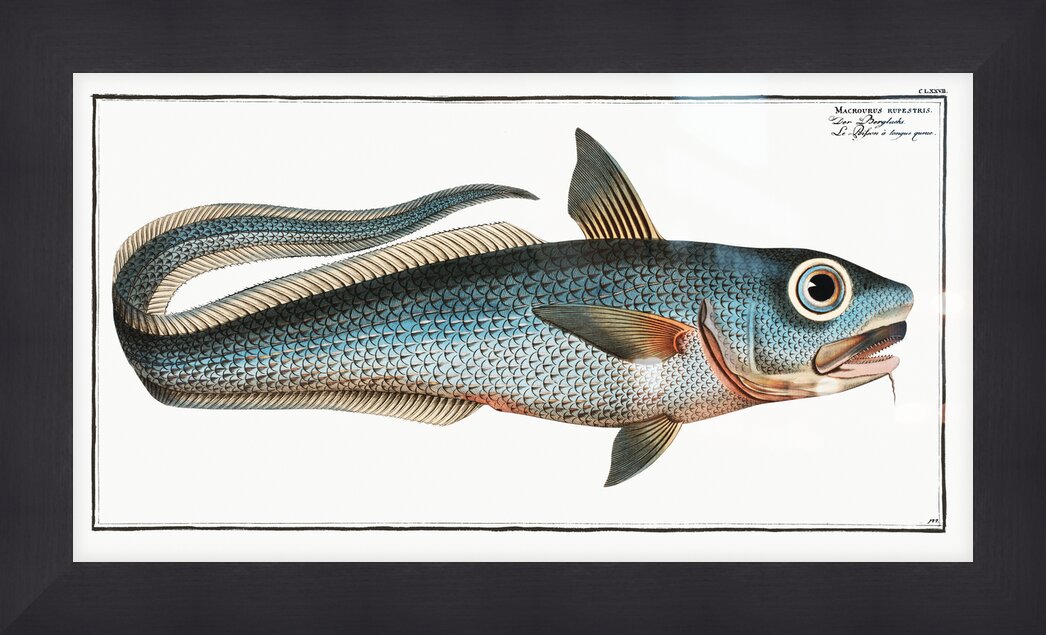 Impression de cadre personnalisé