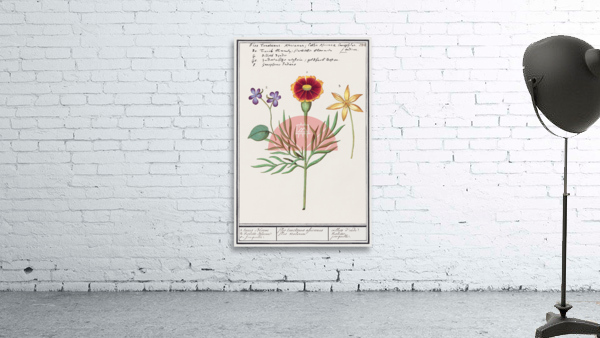 Viola daffodil and marigold Wall Preview