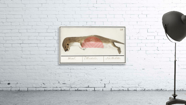 Weasel in vintage style Wall Preview