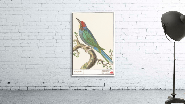 European bee eater in vintage style Wall Preview