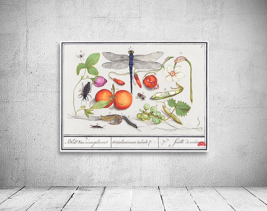 Nature ensemble in vintage style Wall Preview