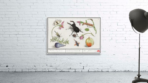 Nature ensemble in vintage style Wall Preview