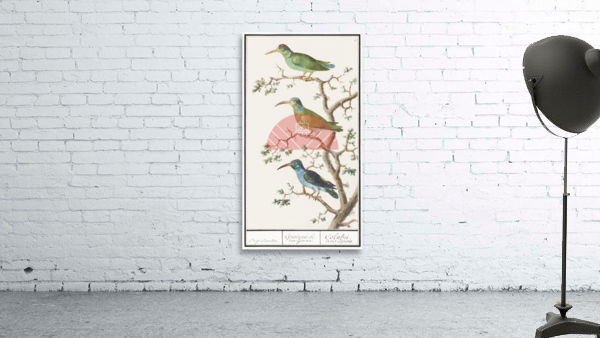 Sunbirds in vintage style Wall Preview