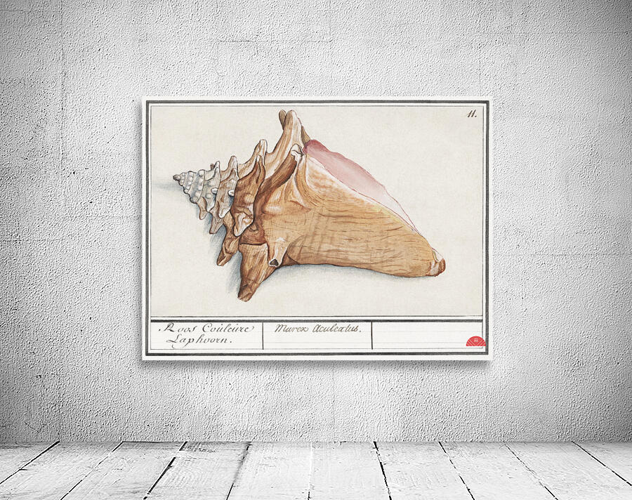 Swan in vintage style Wall Preview