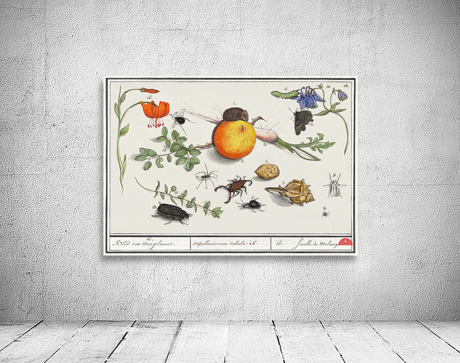 Nature ensemble in vintage style Wall Preview