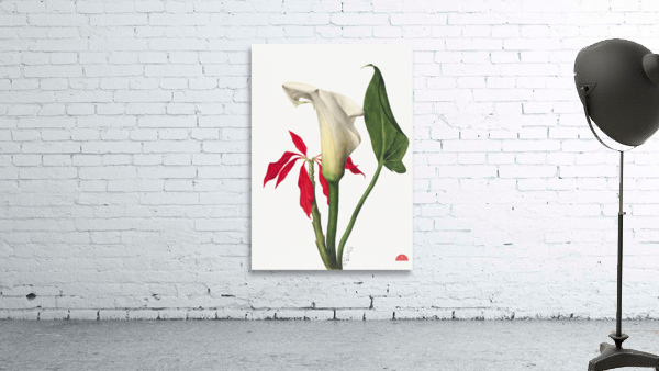 Calla Lily 1877 Wall Preview