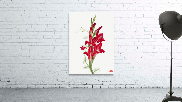 Cannas and Cypress Vine Canna species and Ipomoea quamoclit 1877 Wall Preview