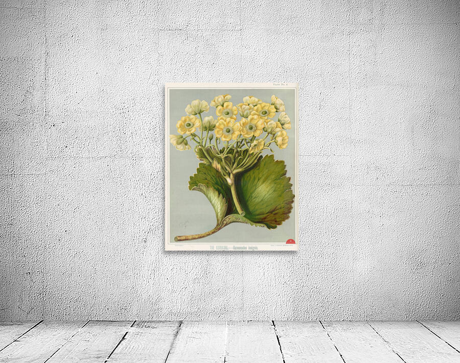 Sarah Featon 032 Wall Preview