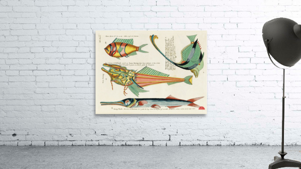 Colourful and surreal illustrations of fishes found in Moluccas Indonesia and the East Indies by Louis Renard 1678 -1746 from Histoire naturelle des plus rares curiositez de la mer des Indes 1754. Wall Preview