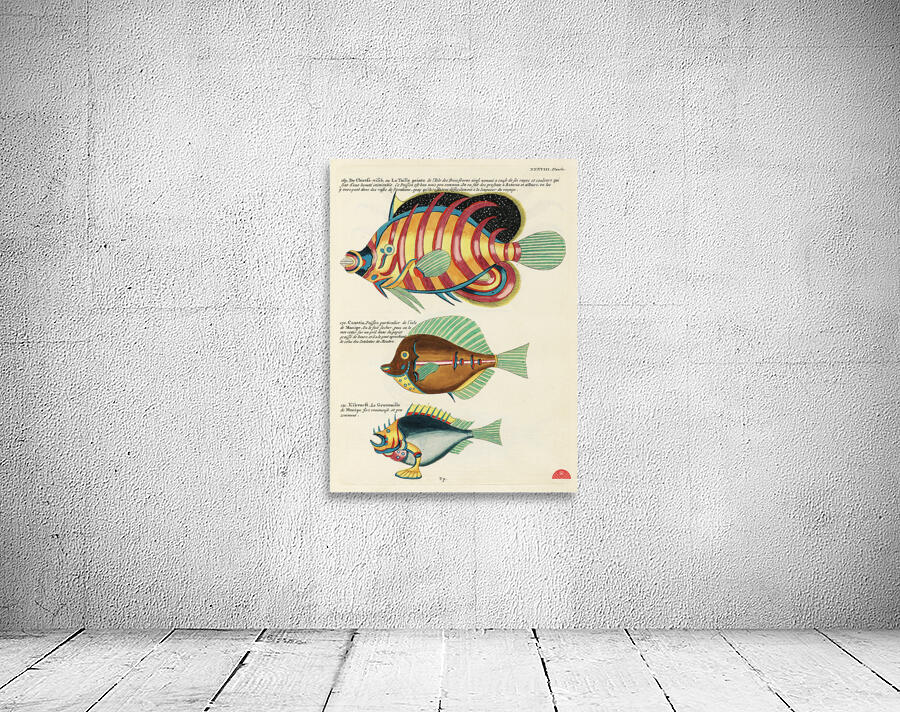 Colourful and surreal illustrations of fishes found in Moluccas Indonesia and the East Indies by Louis Renard 1678 -1746 from Histoire naturelle des plus rares curiositez de la mer des Indes 1754. Wall Preview