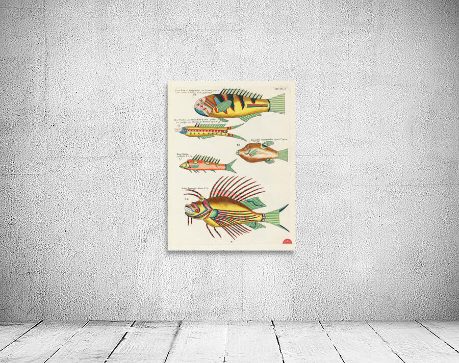 Colourful and surreal illustrations of fishes found in Moluccas Indonesia and the East Indies by Louis Renard 1678 -1746 from Histoire naturelle des plus rares curiositez de la mer des Indes 1754. Wall Preview