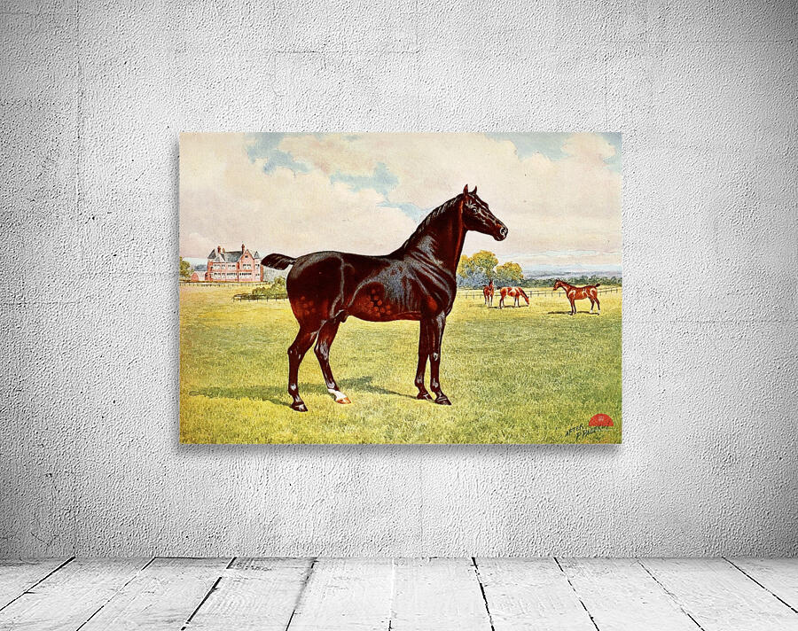 Dual Champion Pony Stallion Berkeley Model After Penry Powell Palfrey English 1830 - 1902 Wall Preview