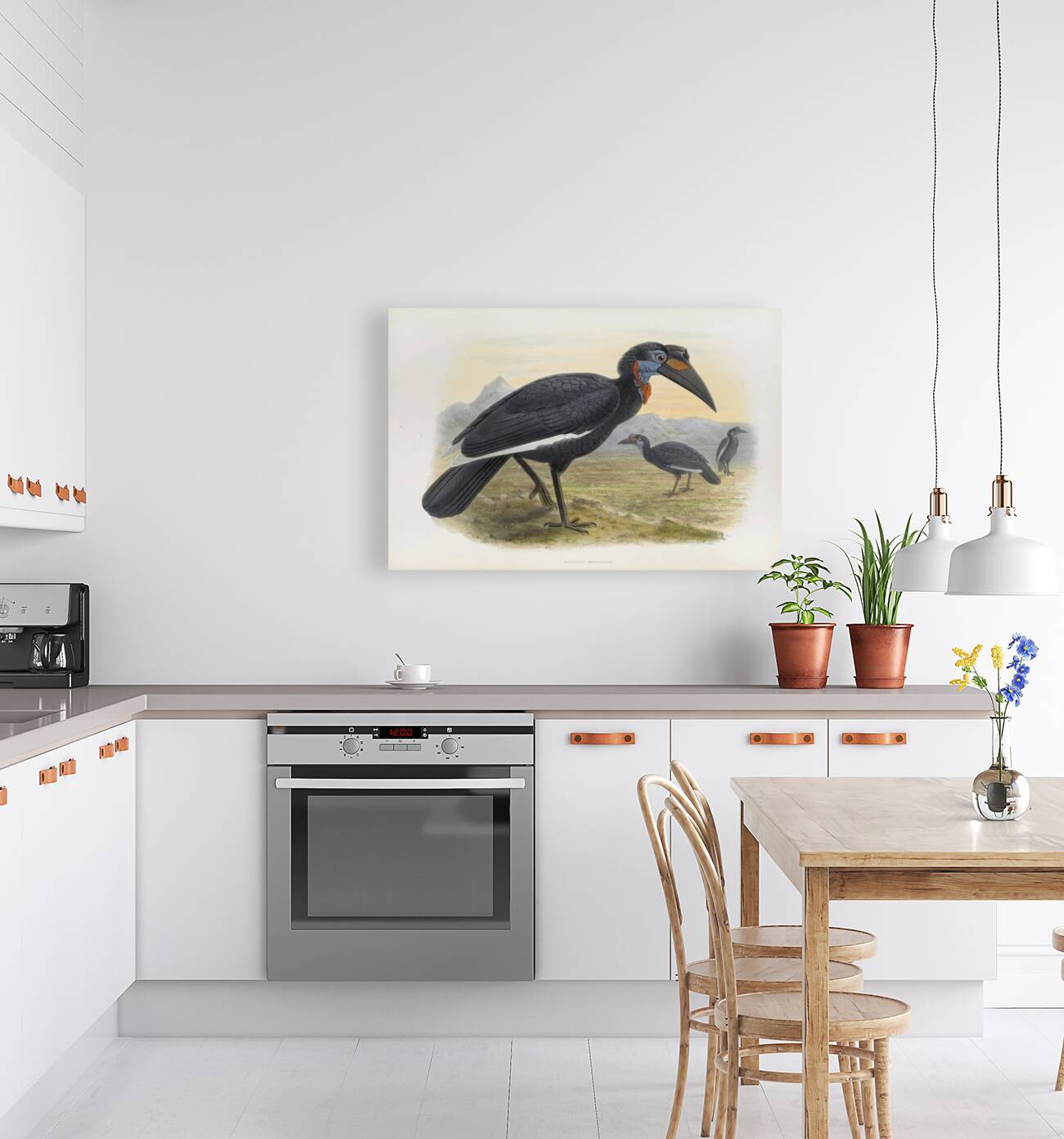 Bucorvus abyssinicus 1882 Reproduction