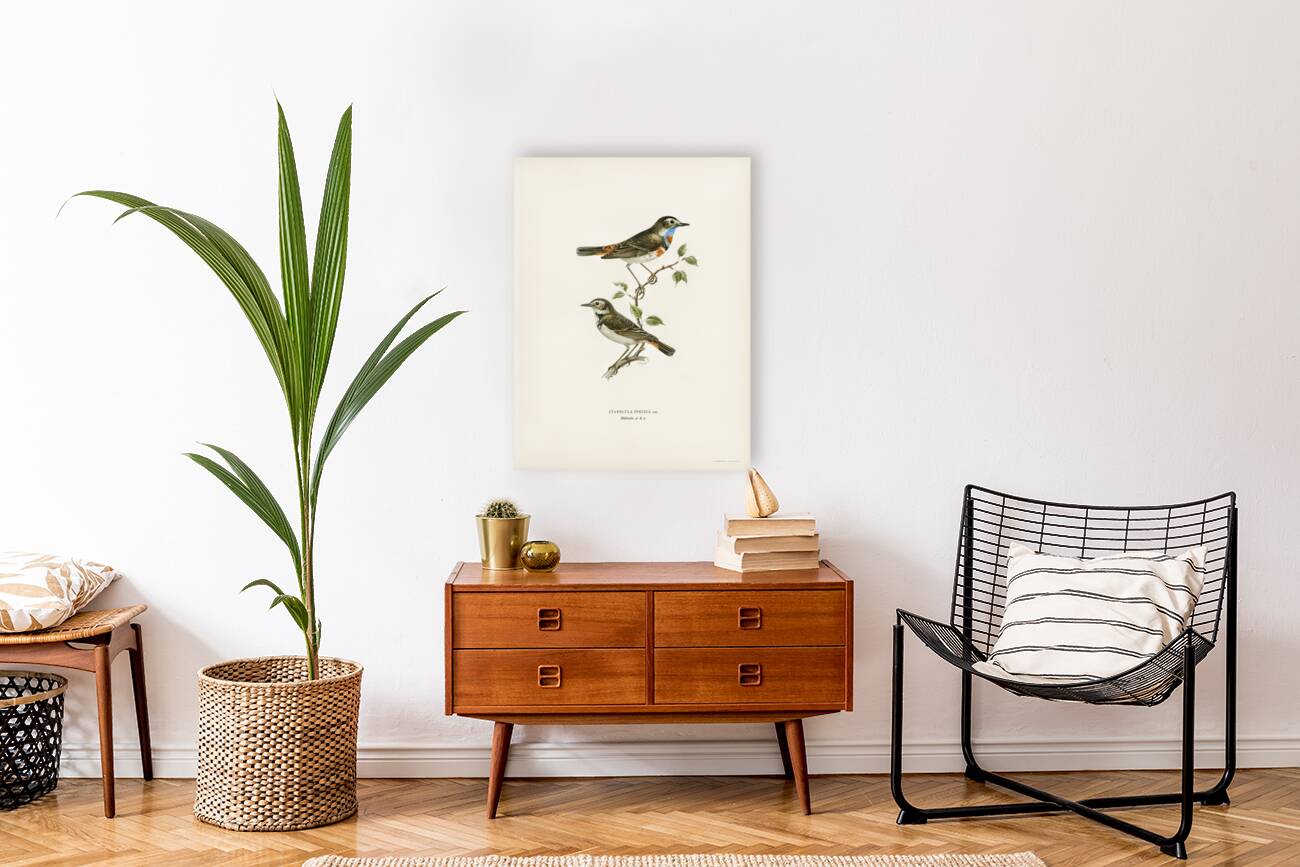 Parrot crossbill Loxia pytyopsittacus Reproduction