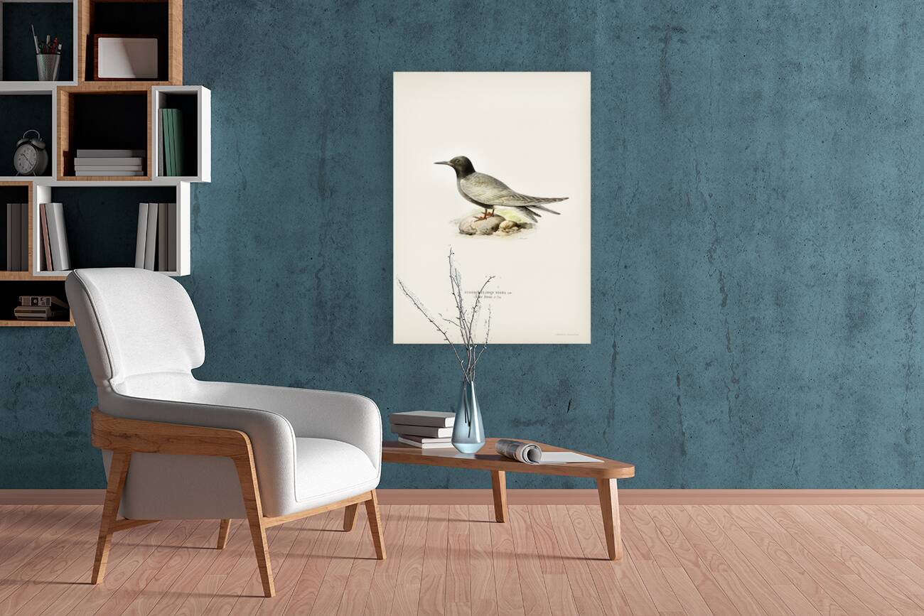 HYDROCHELIDON NIGRA Reproduction