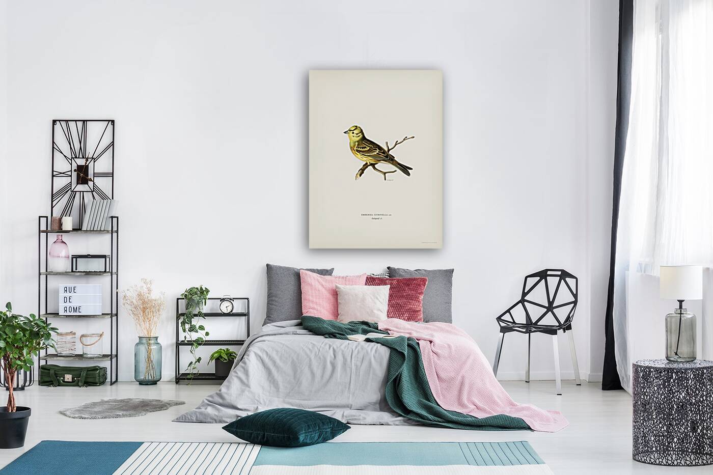 Yellowhammer male Emberiza citrinella Reproduction