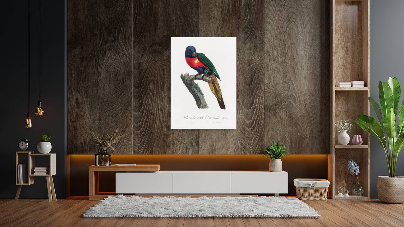 Plum-headed parakeet  Reproduction