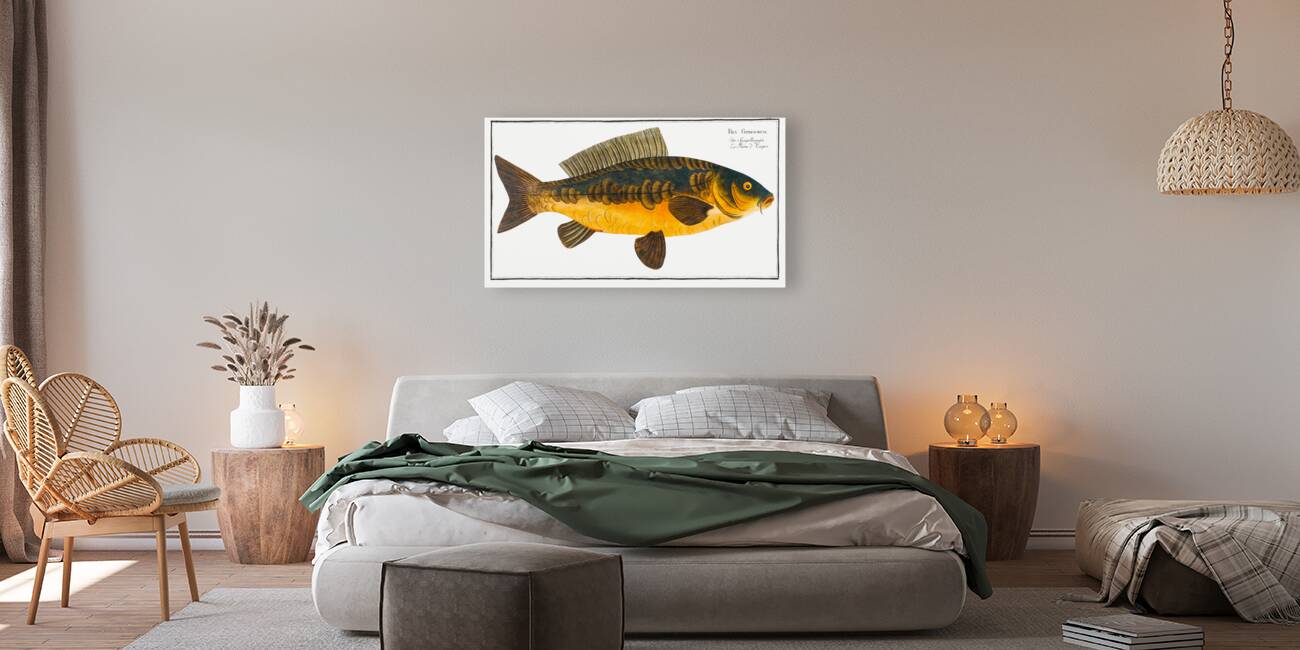 Royal-Carp Rex Cyprinorum Reproduction
