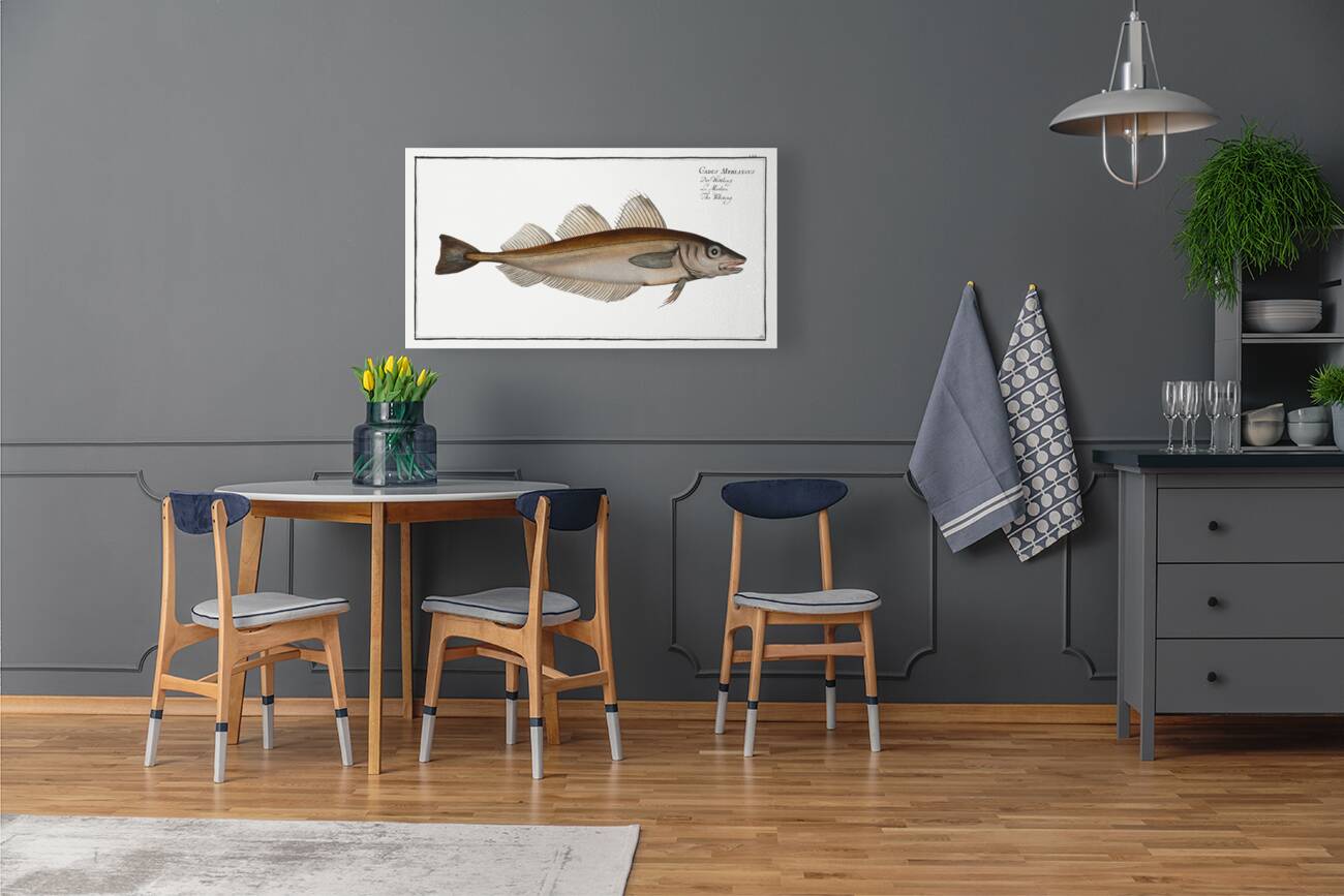 Whiting Gadus Merlangus Reproduction