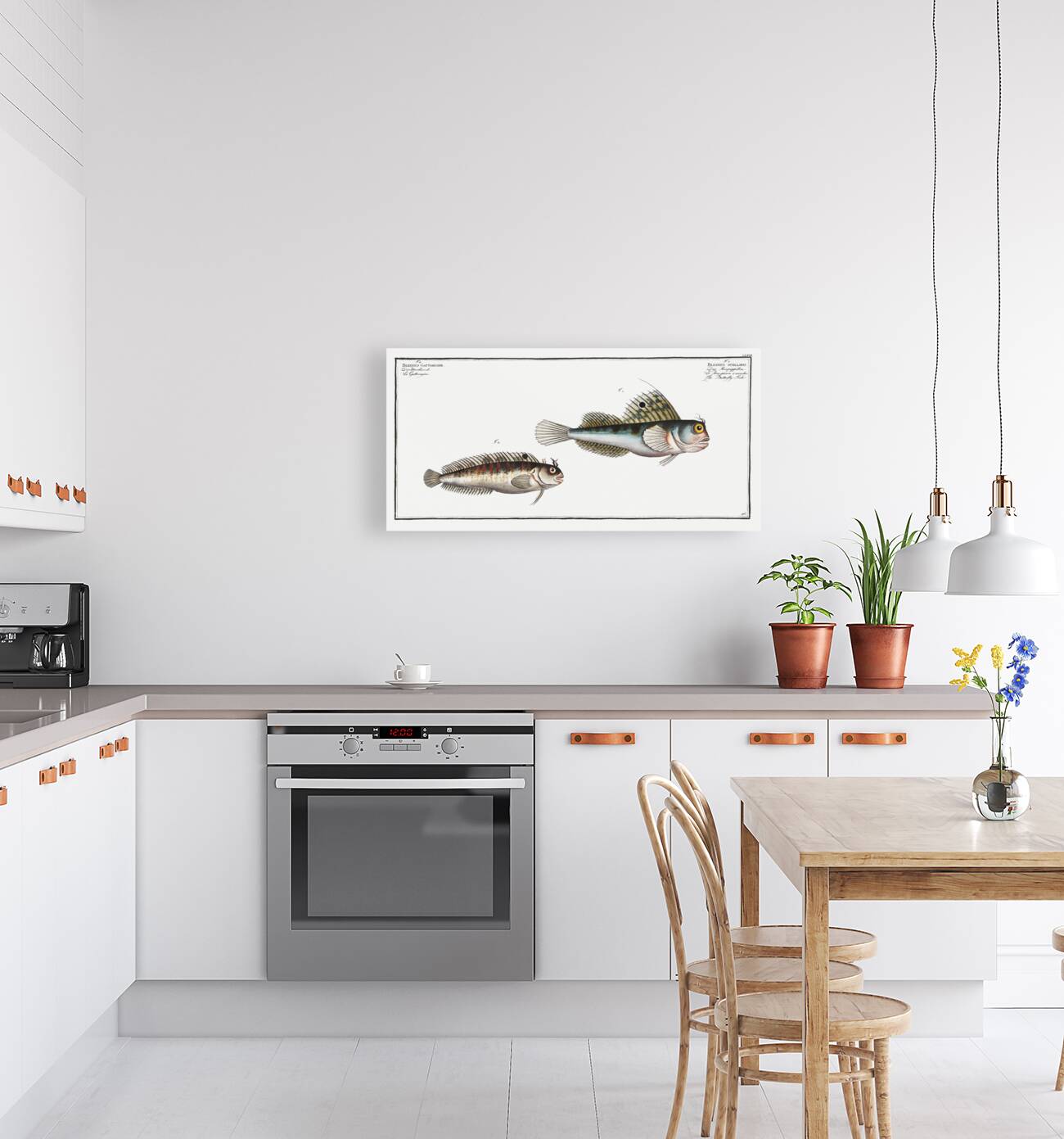 1. Butterfly-fish Blennius ocellaris 2. Blennius Gattorugine Reproduction