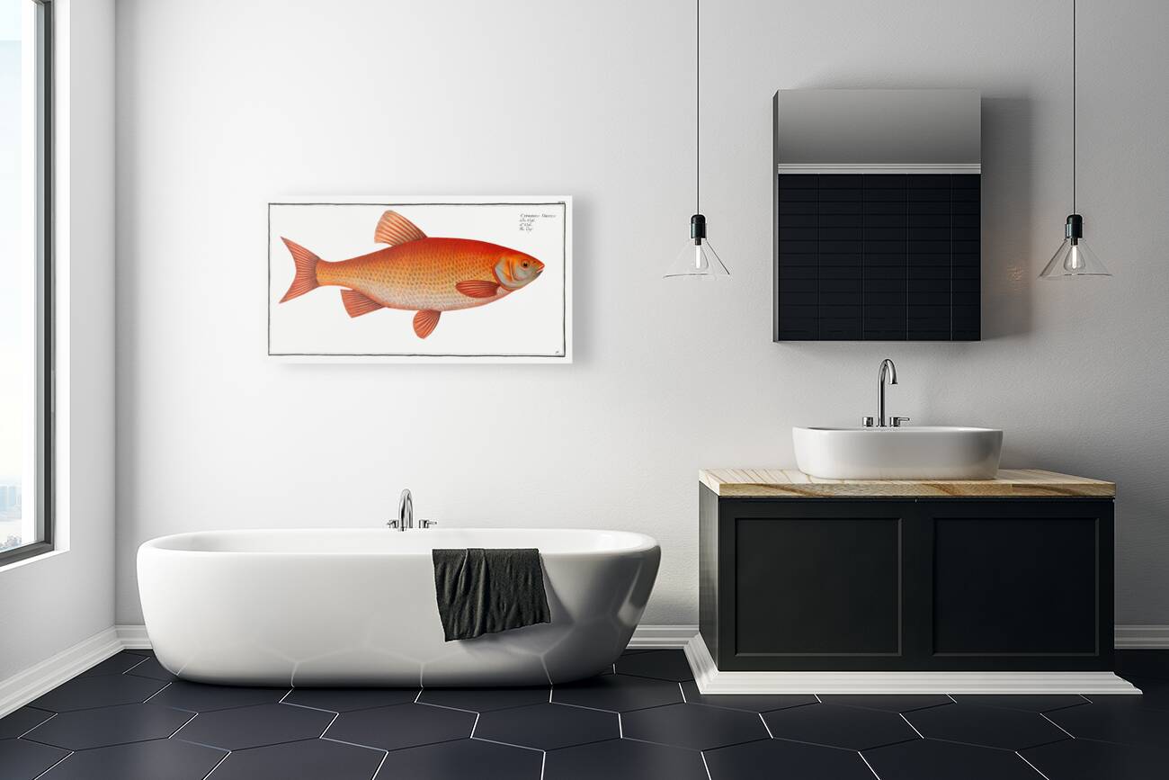 Orf Cyprnus Orfus Reproduction