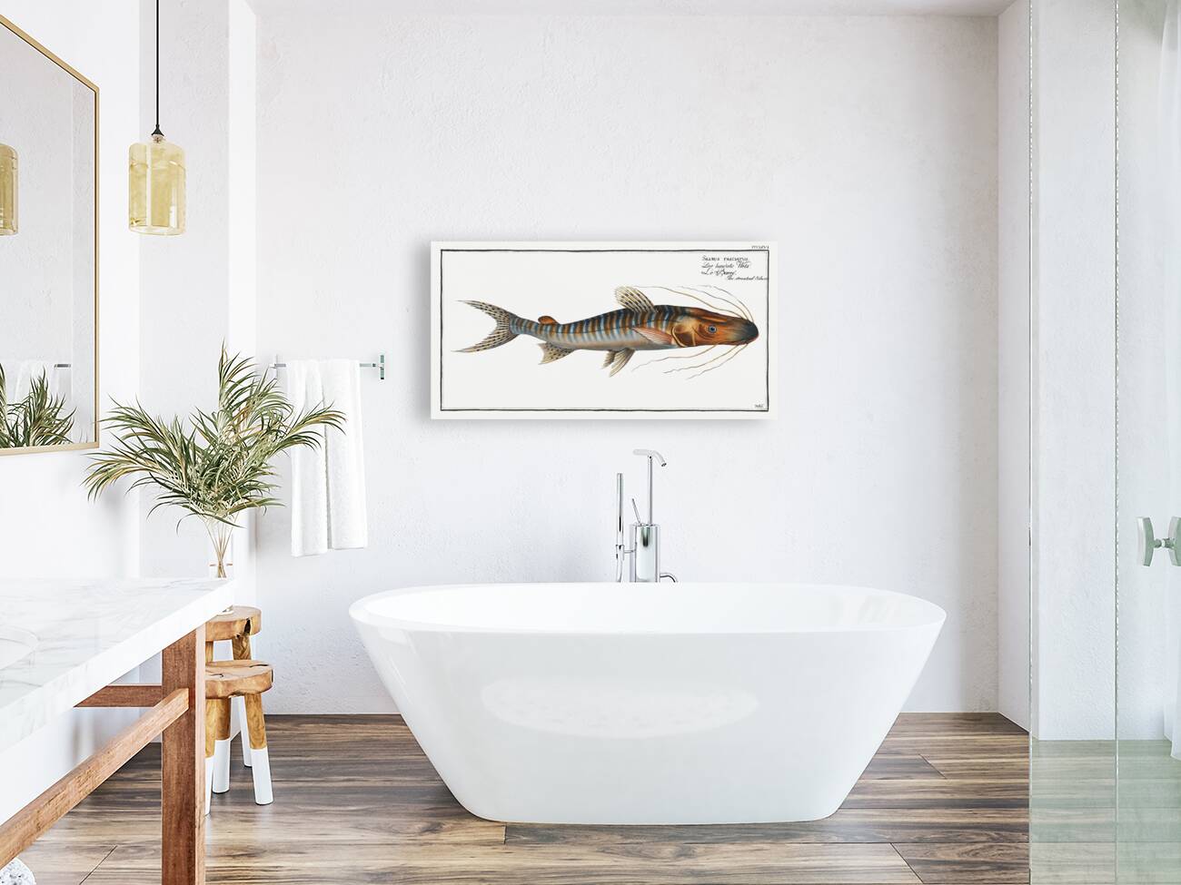 Streaked Silure Silurus fasciatus Reproduction