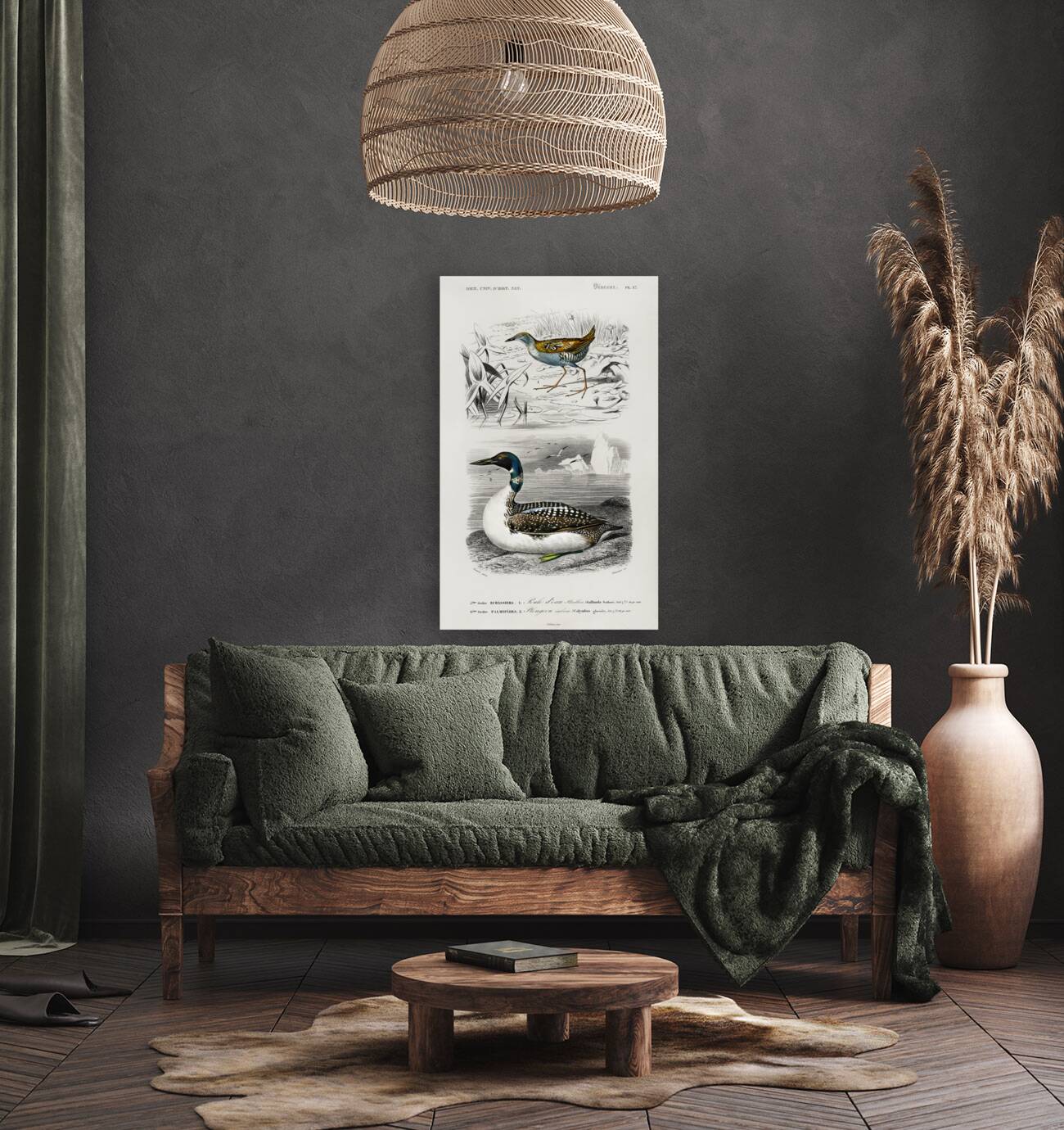 Different types of birds Reproduction