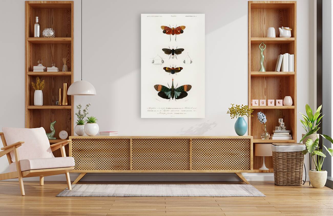 Collection of moths Reproduction