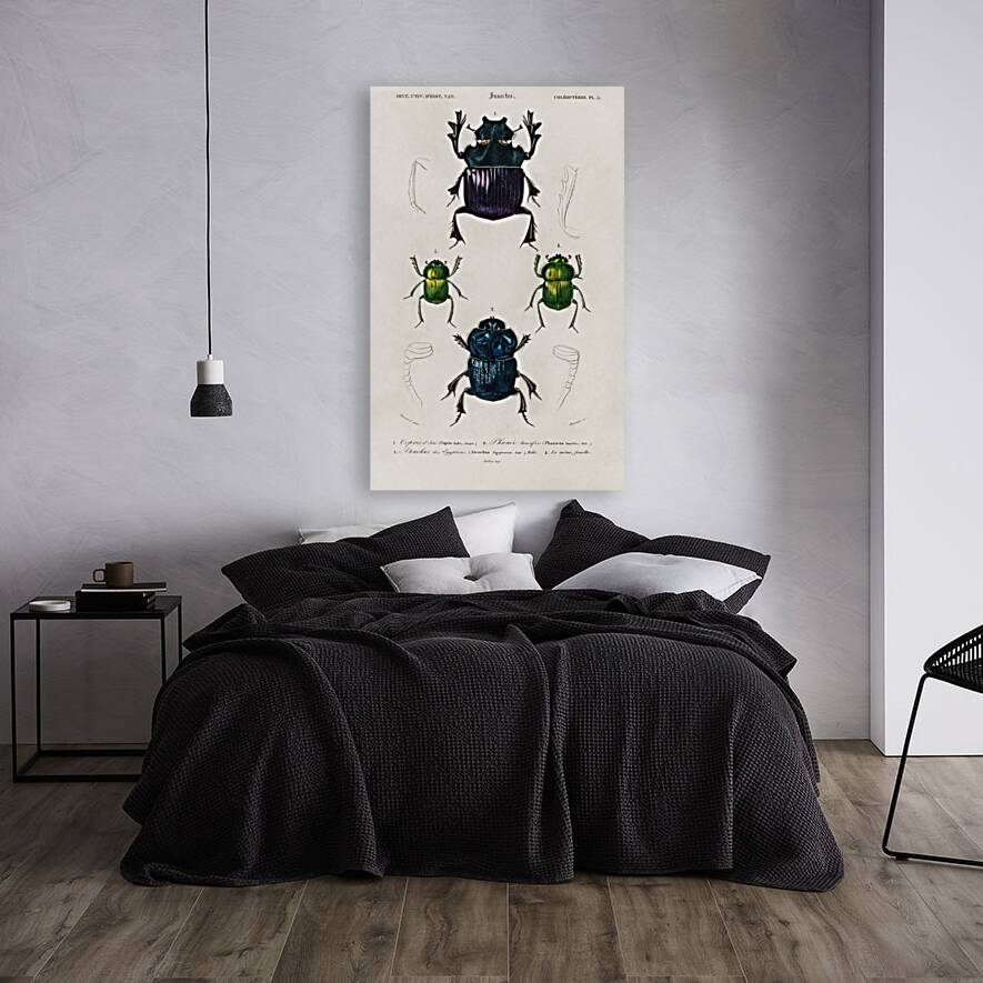 Different types of insects Reproduction