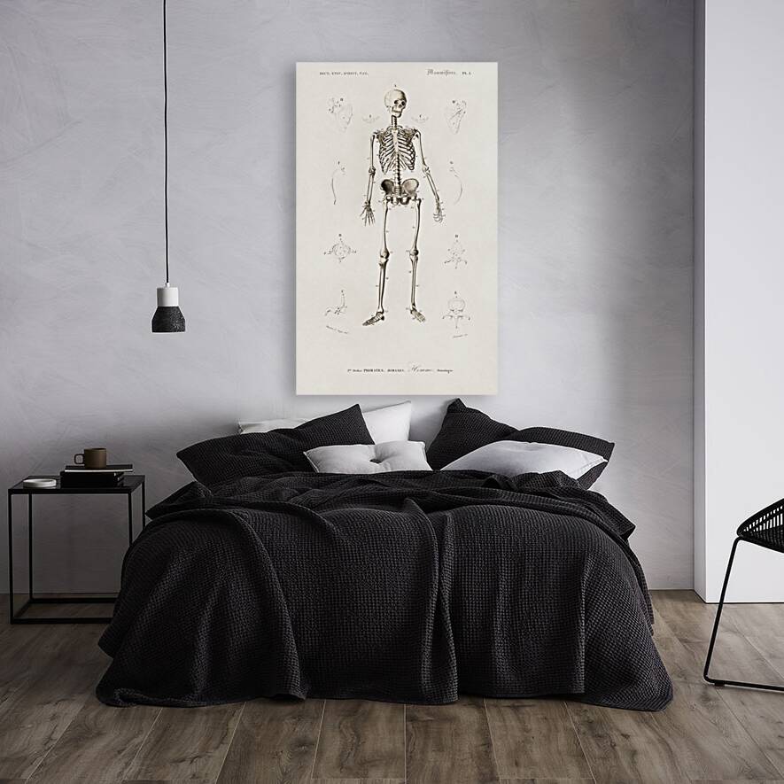 Different types of beetles Reproduction