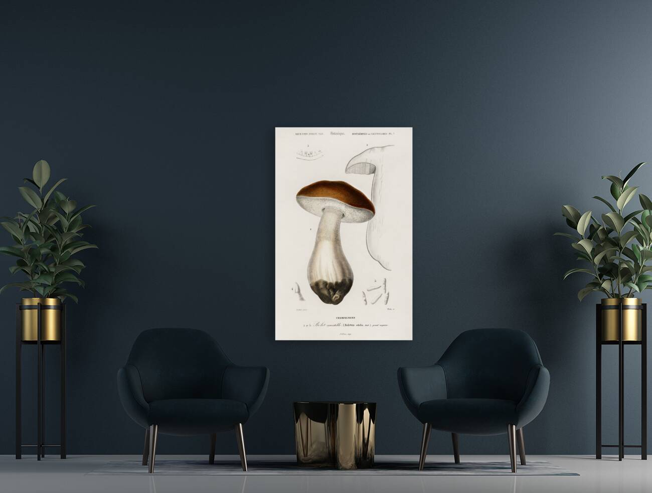 Penny bun Boletus edulis Reproduction