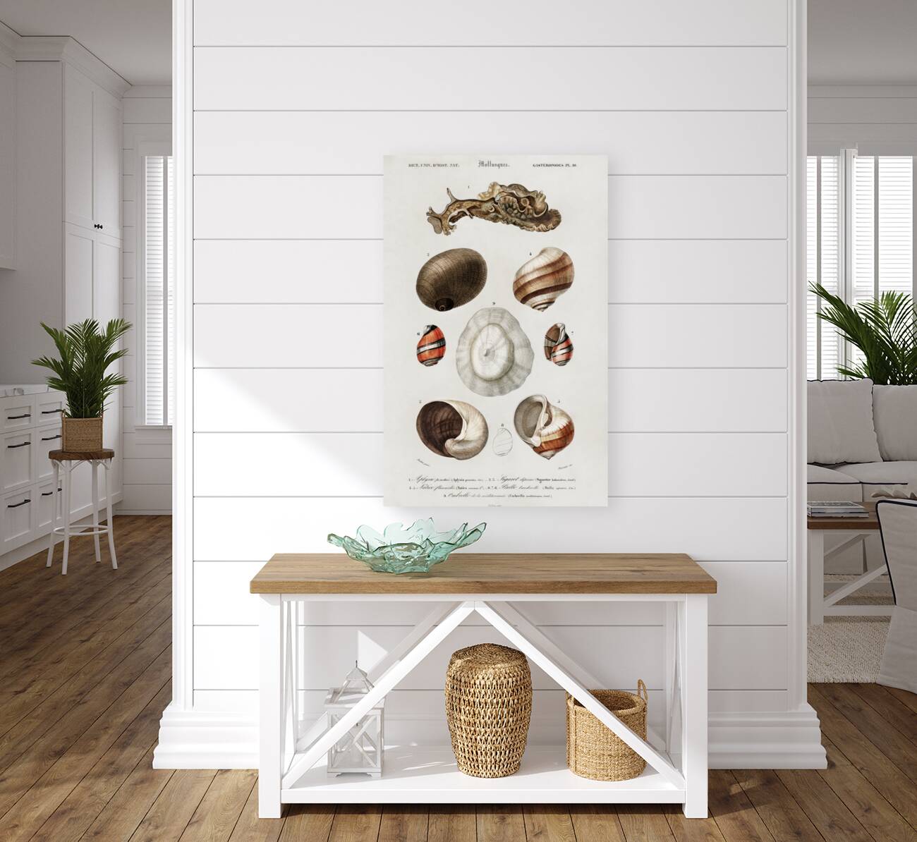 Different types of mollusks Reproduction