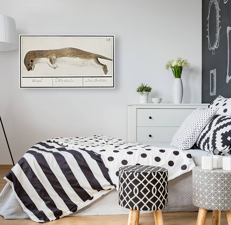 Weasel in vintage style Reproduction