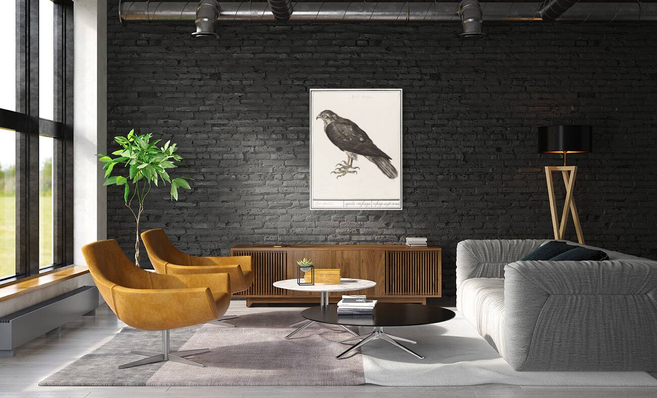 Sparrowhawk in vintage style Reproduction