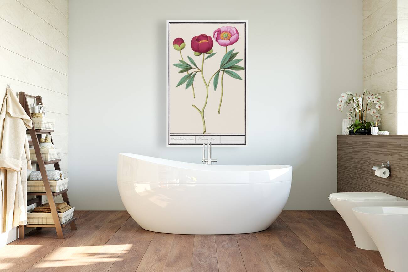 Peony in vintage style Reproduction