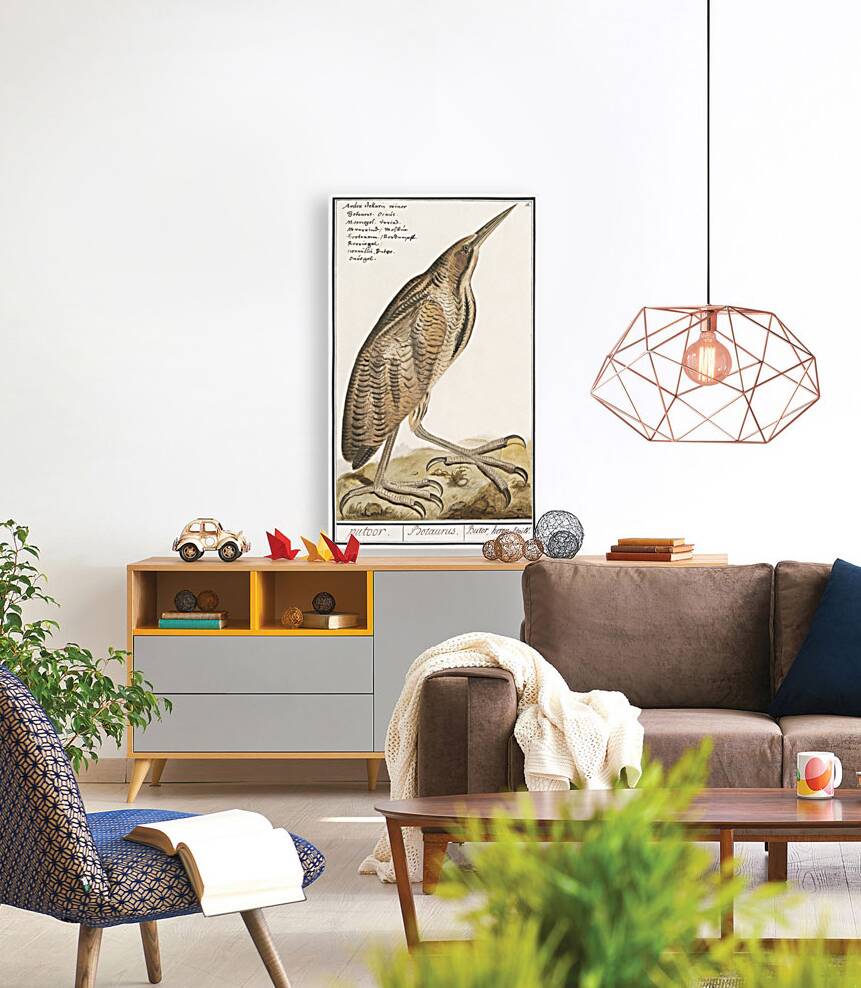 Bittern in vintage style Reproduction