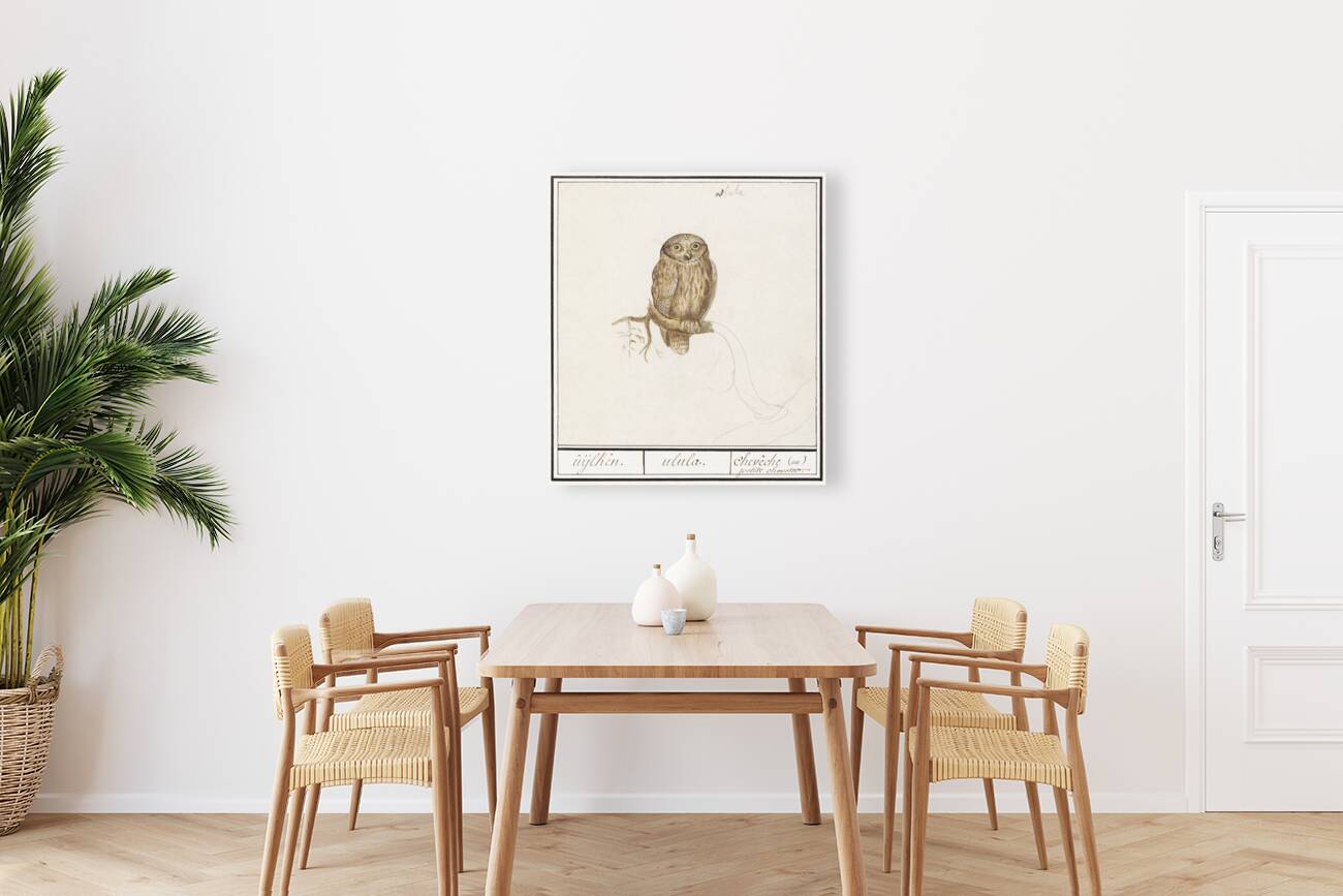 Pygmy owl in vintage style Reproduction