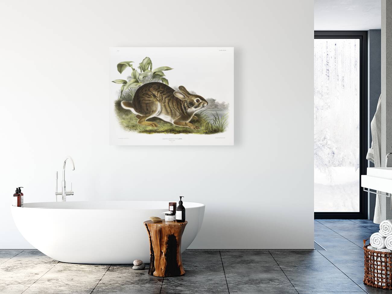 Swamp Hare Lepus aquaticus  Reproduction